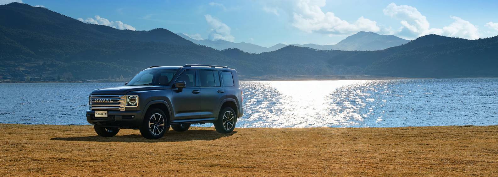 HAVAL H9