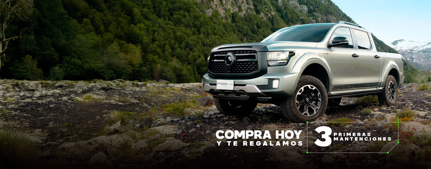 NUEVA POER P500 HÍBRIDA