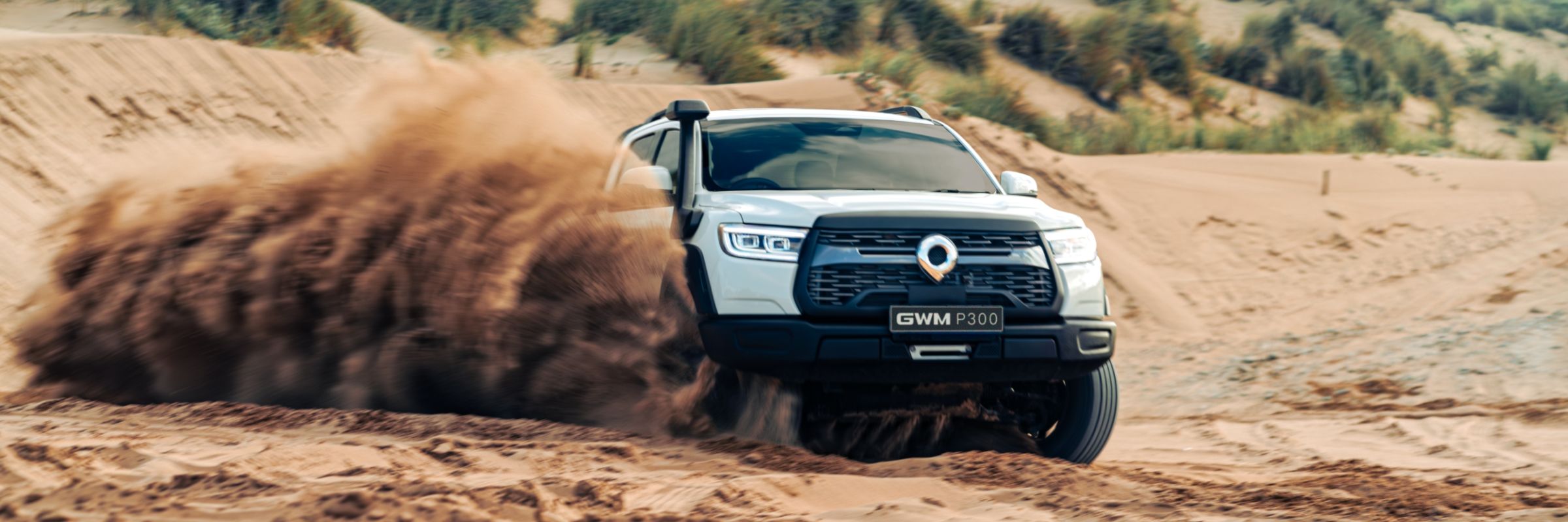 GWM P300 LTD