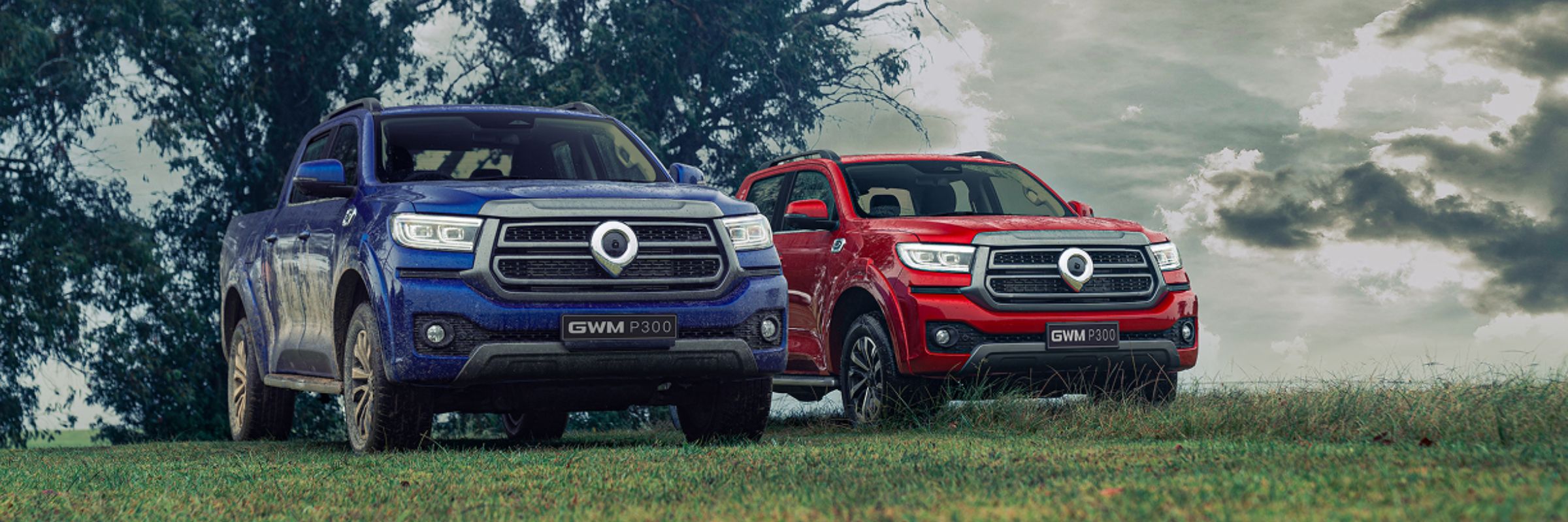 GWM P300 LS/LT